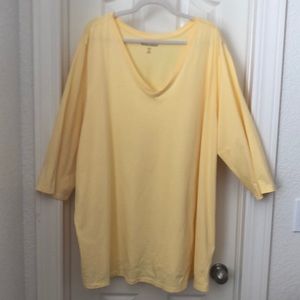 Woman Within Woman’s 4X Pastel Yellow Blouse